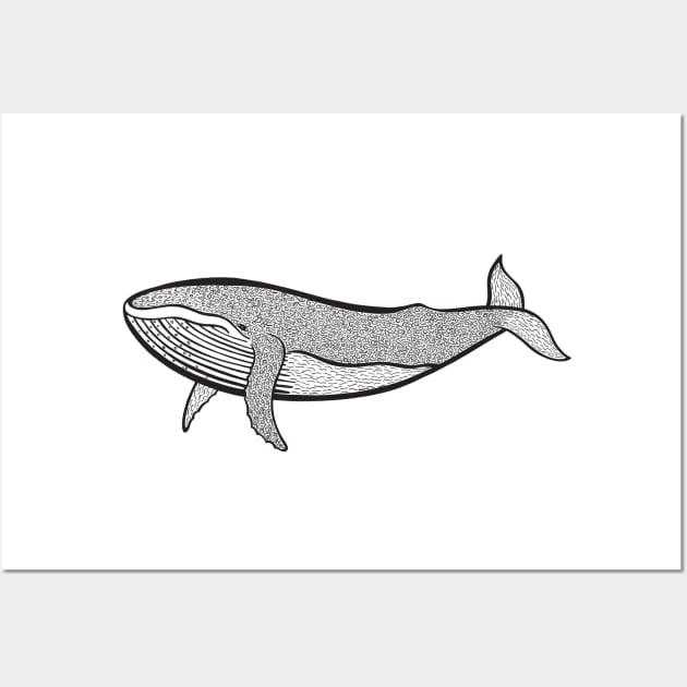 Humpback Whale Ink Art - light colors Wall Art by Green Paladin